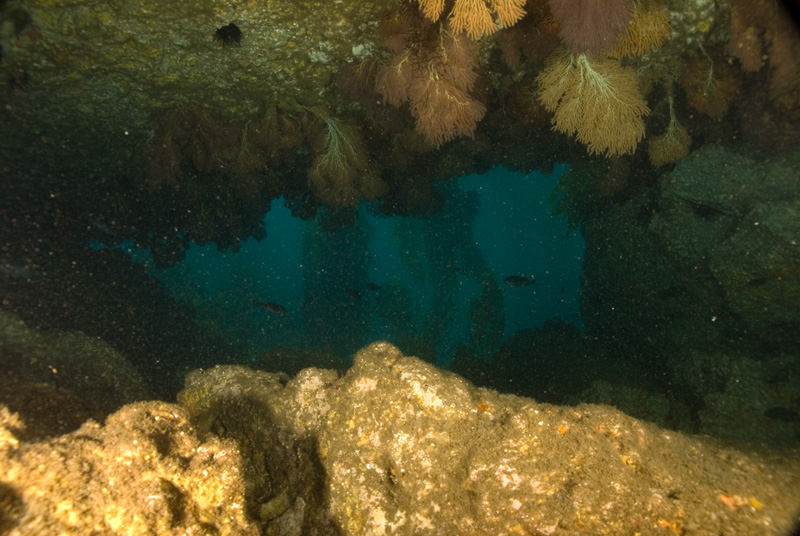 Sea Fan Grotto 3