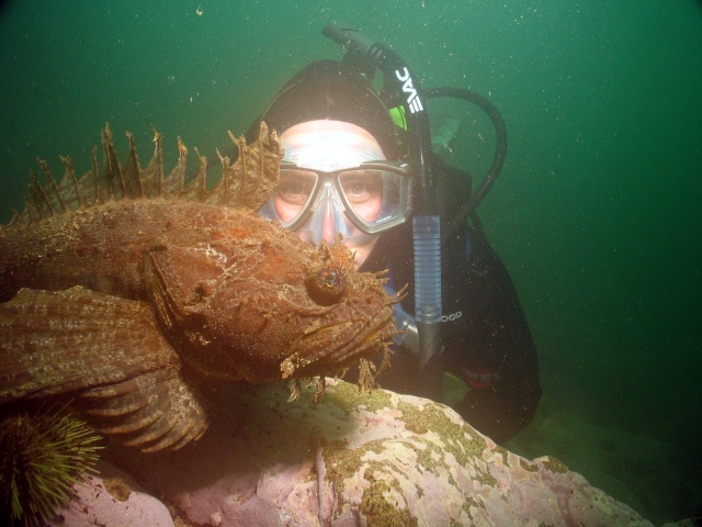 Sea Raven & Troy
