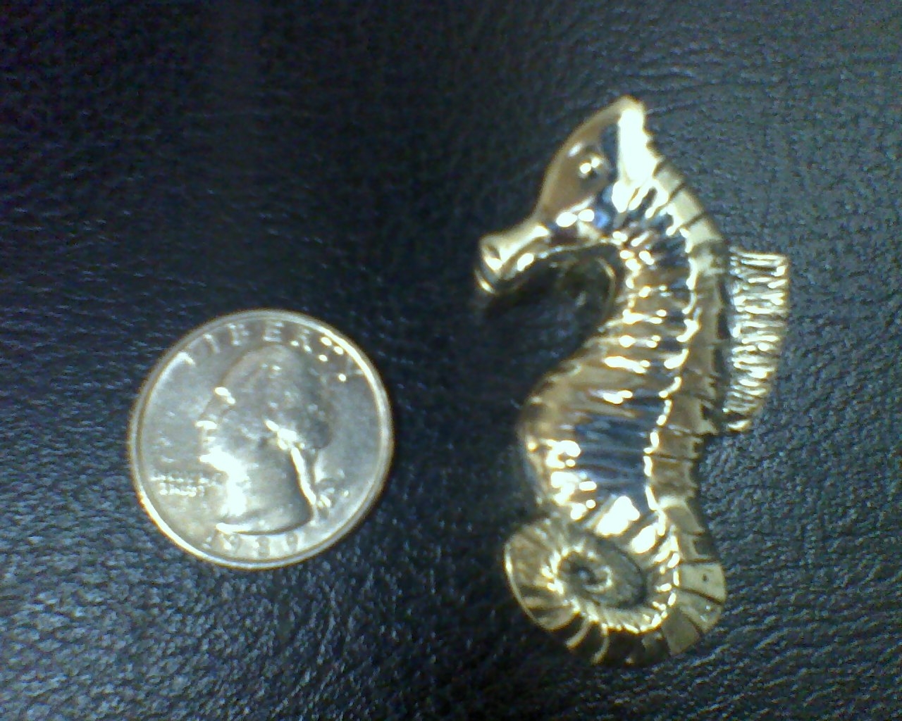 Seahorse jewelery. small box/pendant