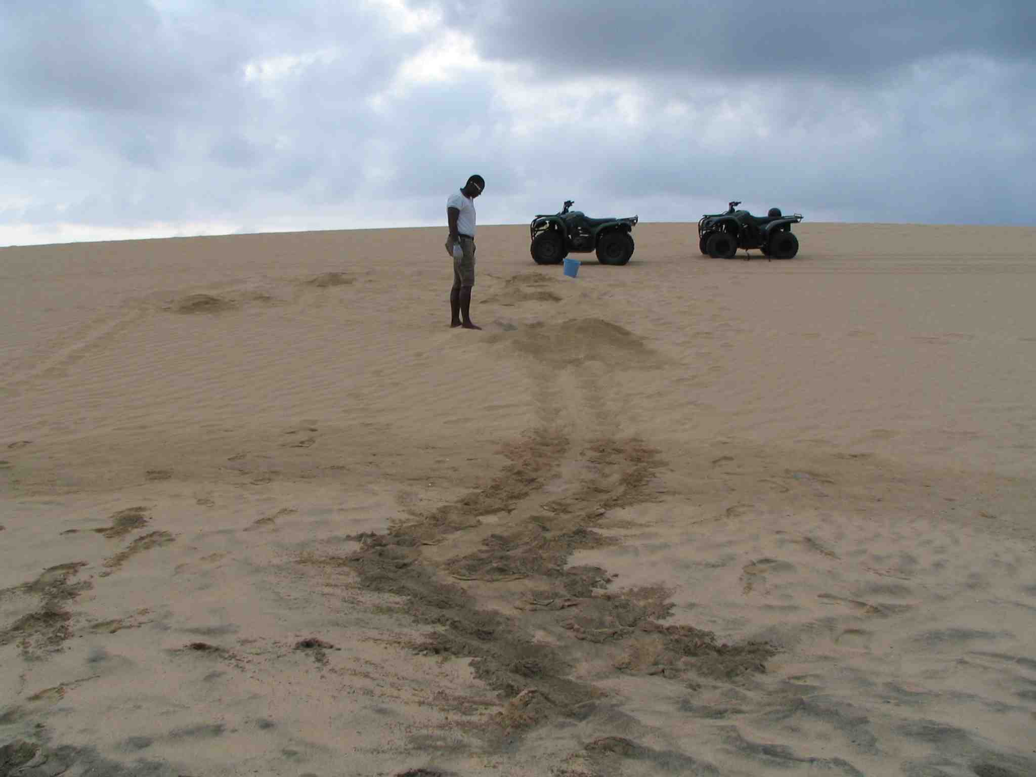 SeaTurtle protection needed at Cabo Verde