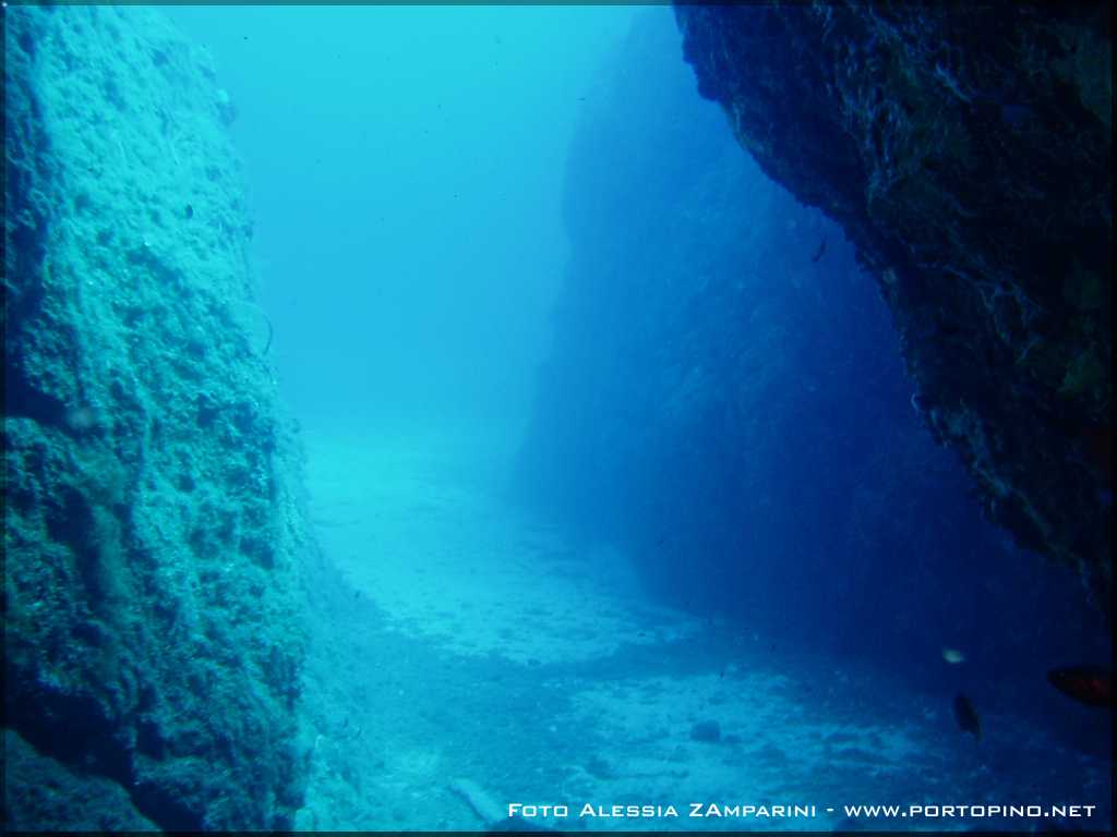 Secca di Porto Scudo - Sardinia - Italy