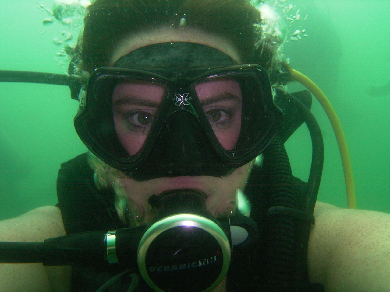 Self Portrait Delta 4  Regulator