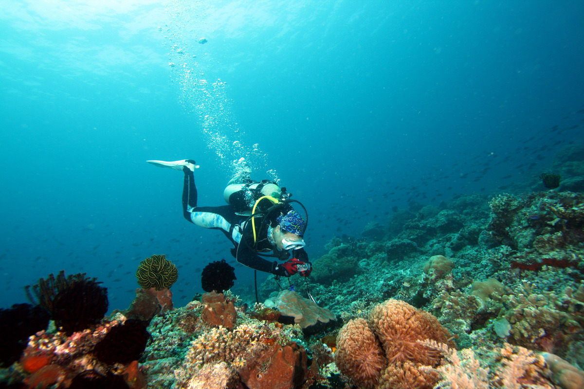 Sep 26- Oct 01 2010. Selayar Island , South Sulawesi, Indonesia