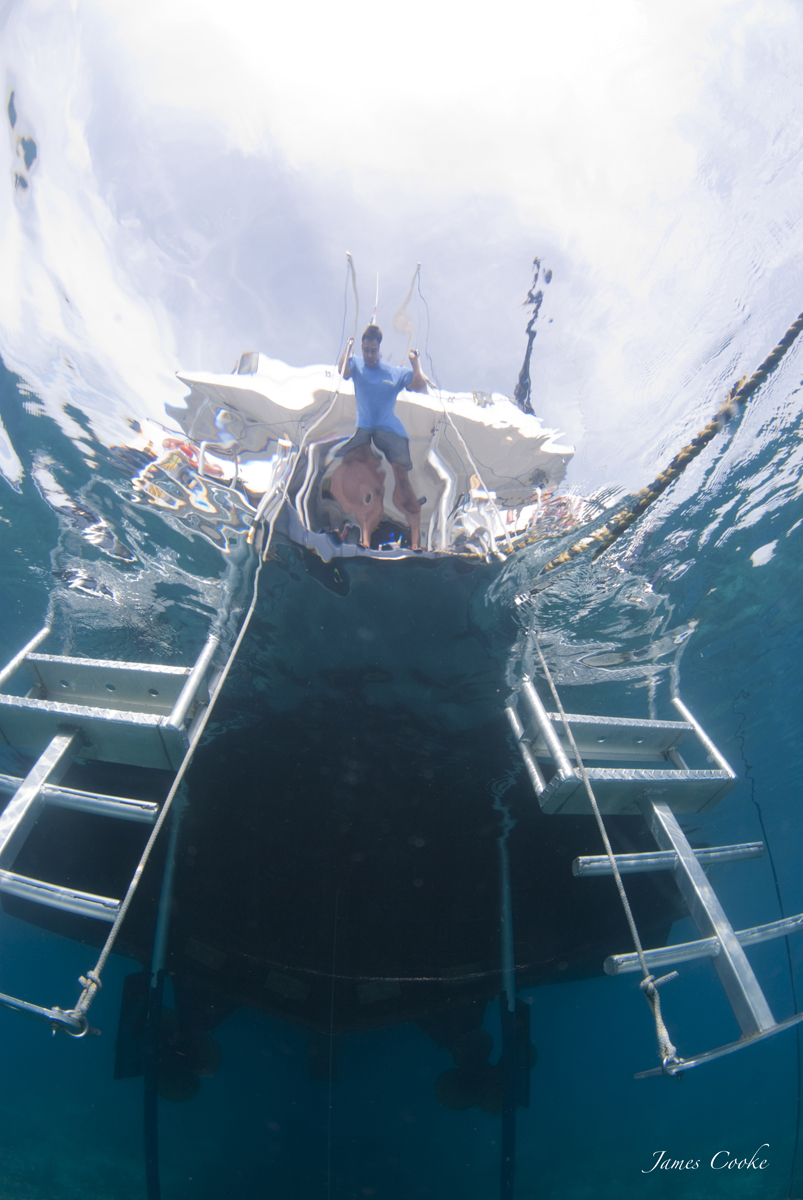 September 7 &#8722; 14, 2013 Charter Photos