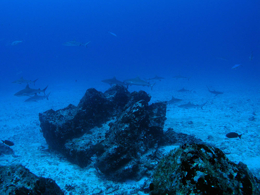 Seychelles october 2009