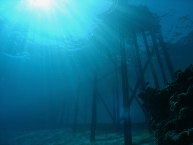 Sharks Bay Jetty