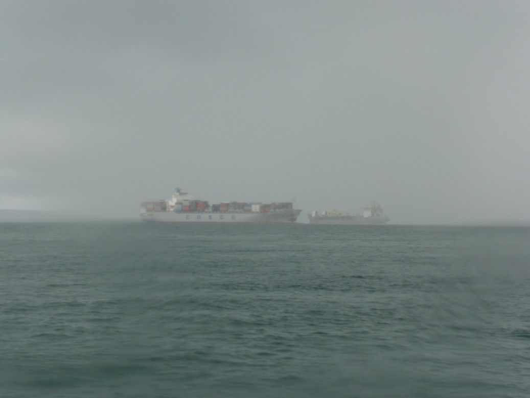 Ship coming through Port Phillip Bay