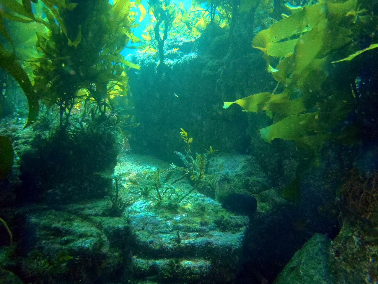 Ship Rock Reef Structure