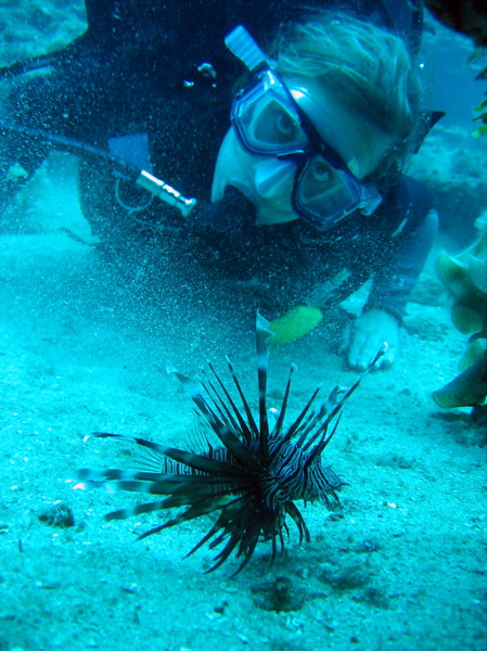 Shoshanna & Lionfish