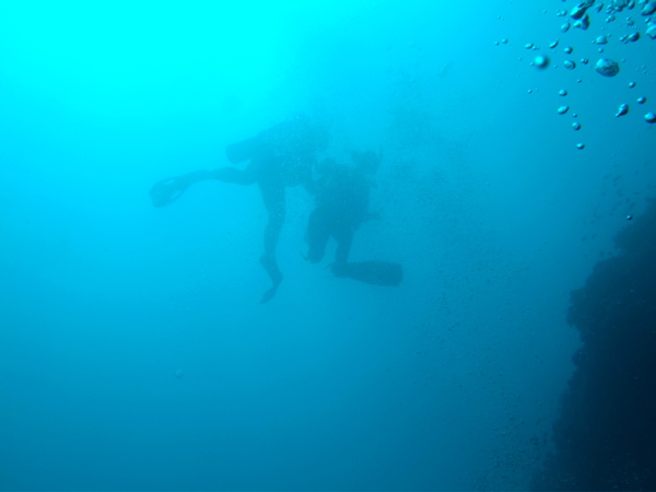 Silhouetted divers