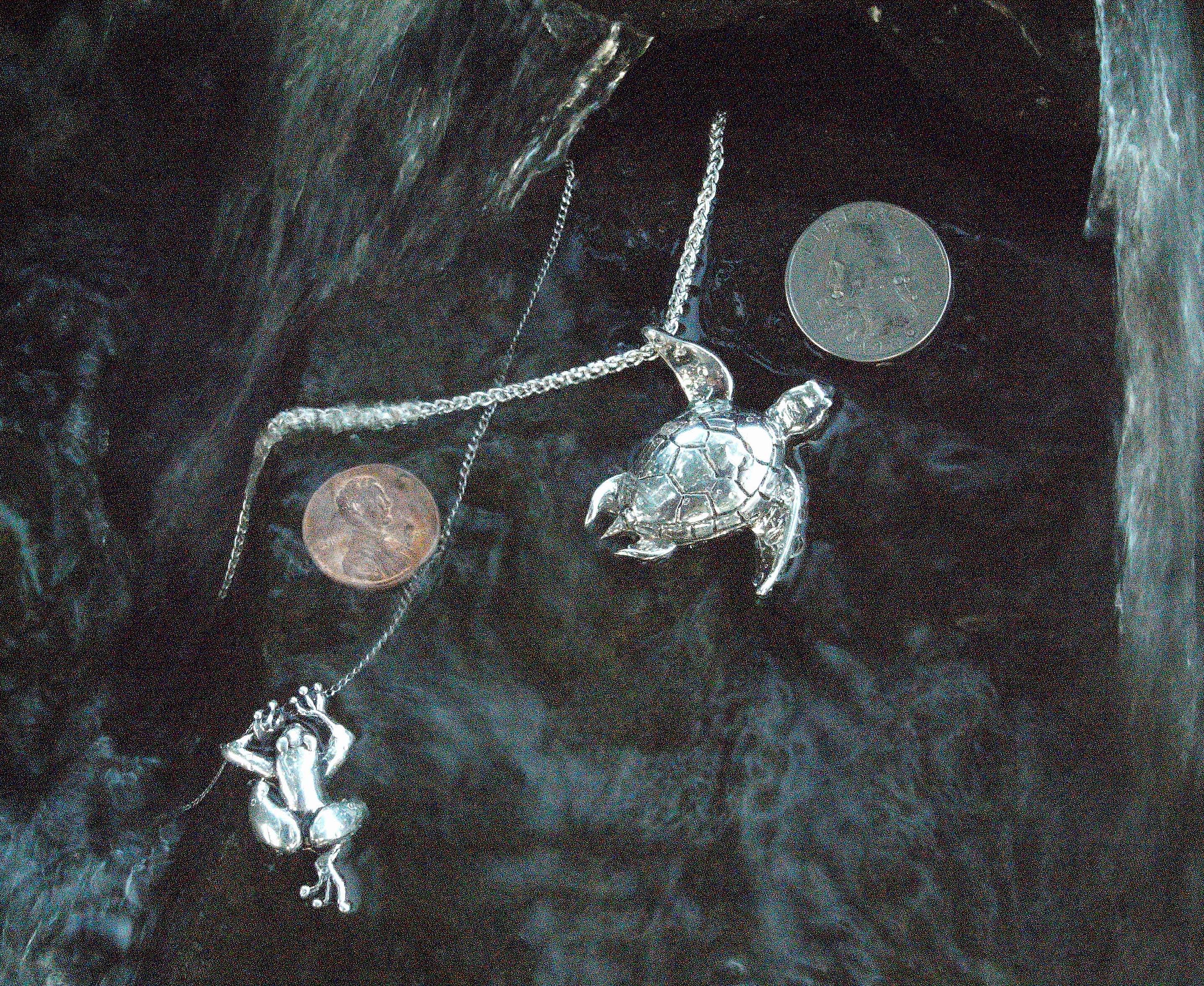 Silver_turtle_and_frog_jewelery_in_waterfall