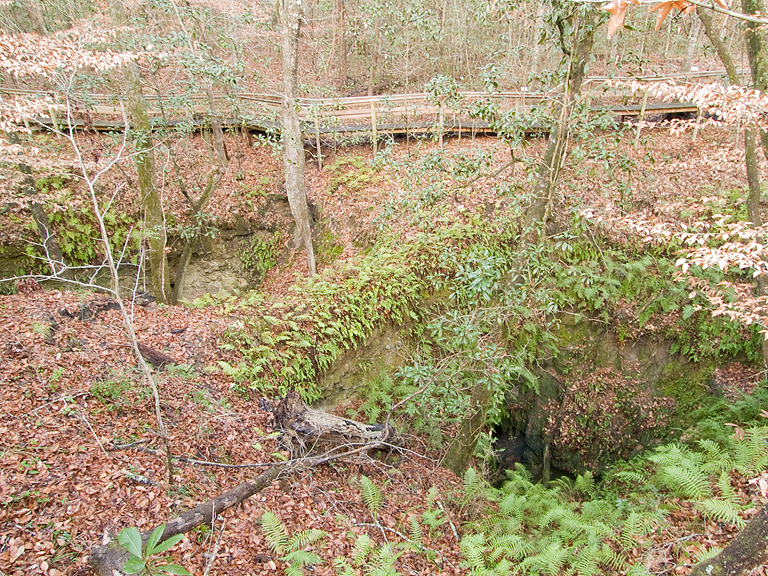 Sinkhole286