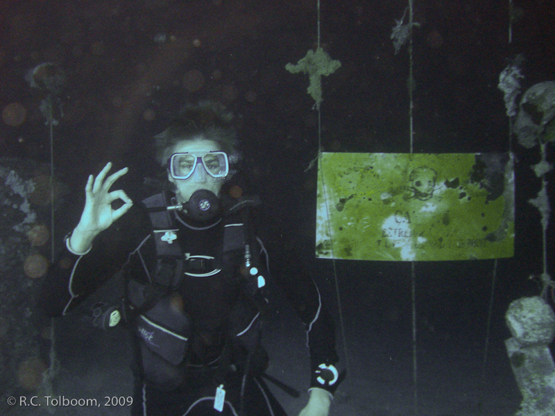 Sipadan and Mabul diving