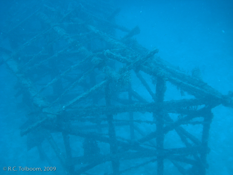 Sipadan and Mabul diving