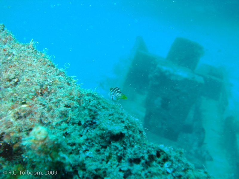 Sipadan and Mabul diving