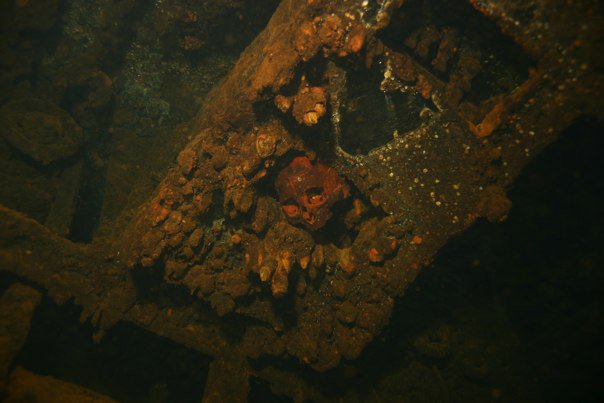 Skull inside Yamagiri Maru. Chuuk.