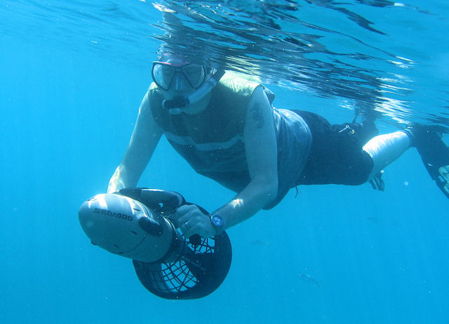 Snorkel in Key Largo