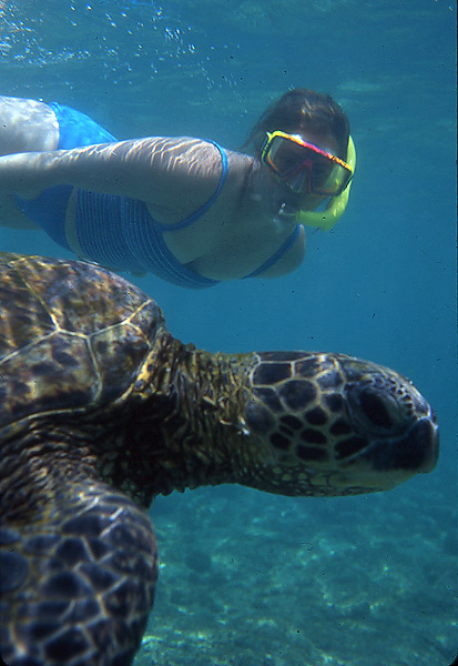 Snorkeler with Turtle