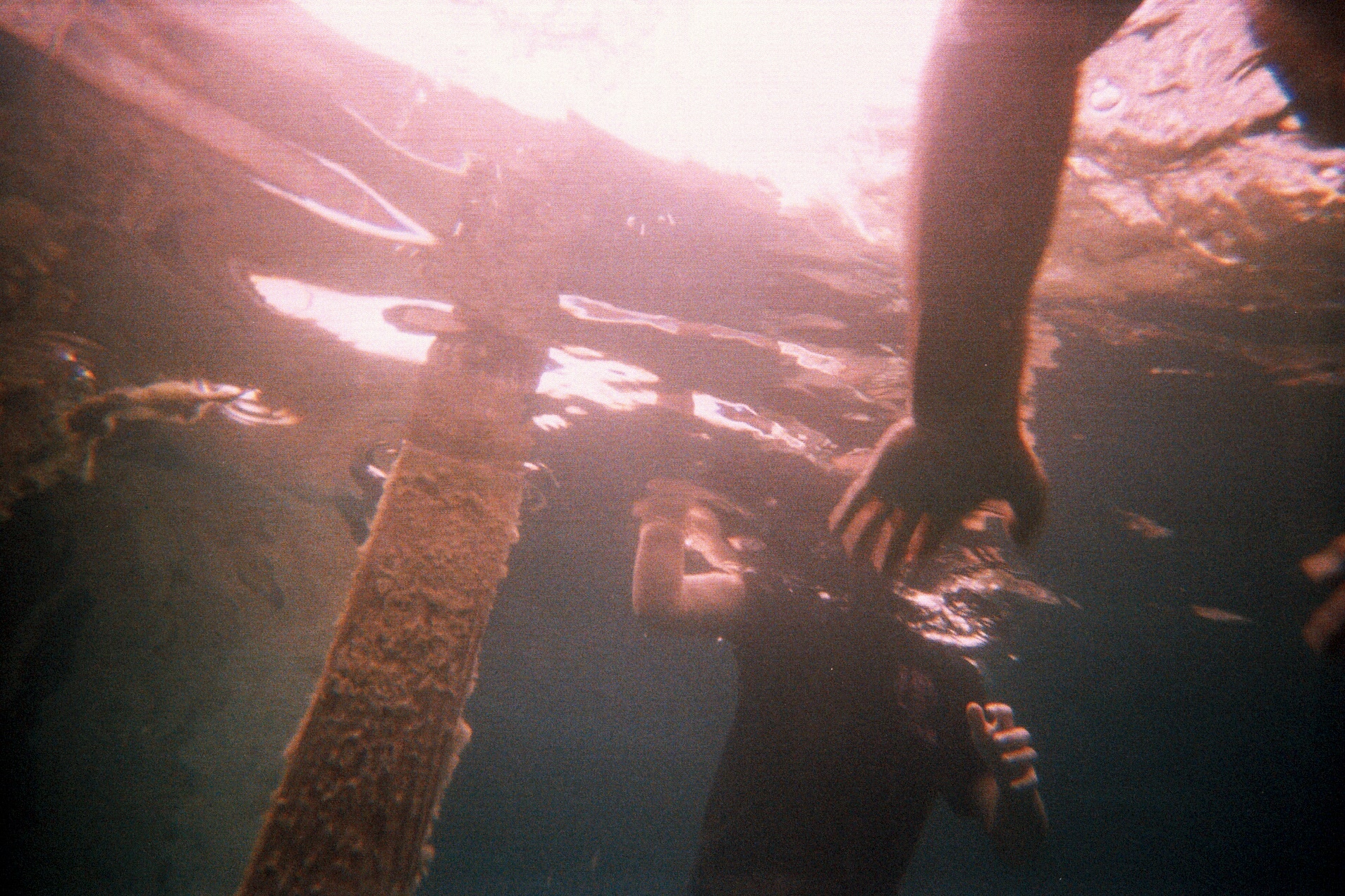 Snorkeling at Alabama Blue Water Adventures 2009