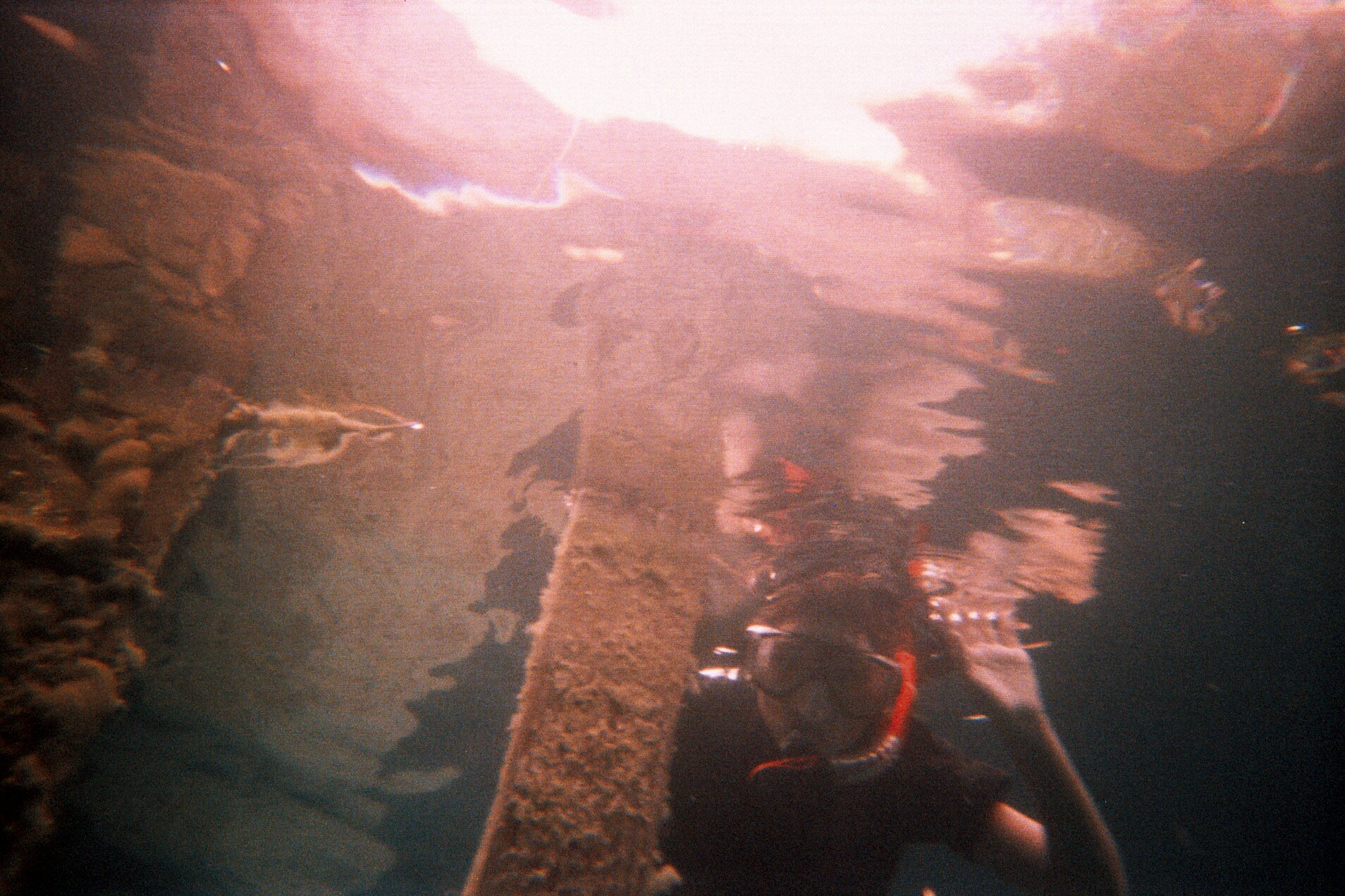 Snorkeling at Alabama Blue Water Adventures 2009