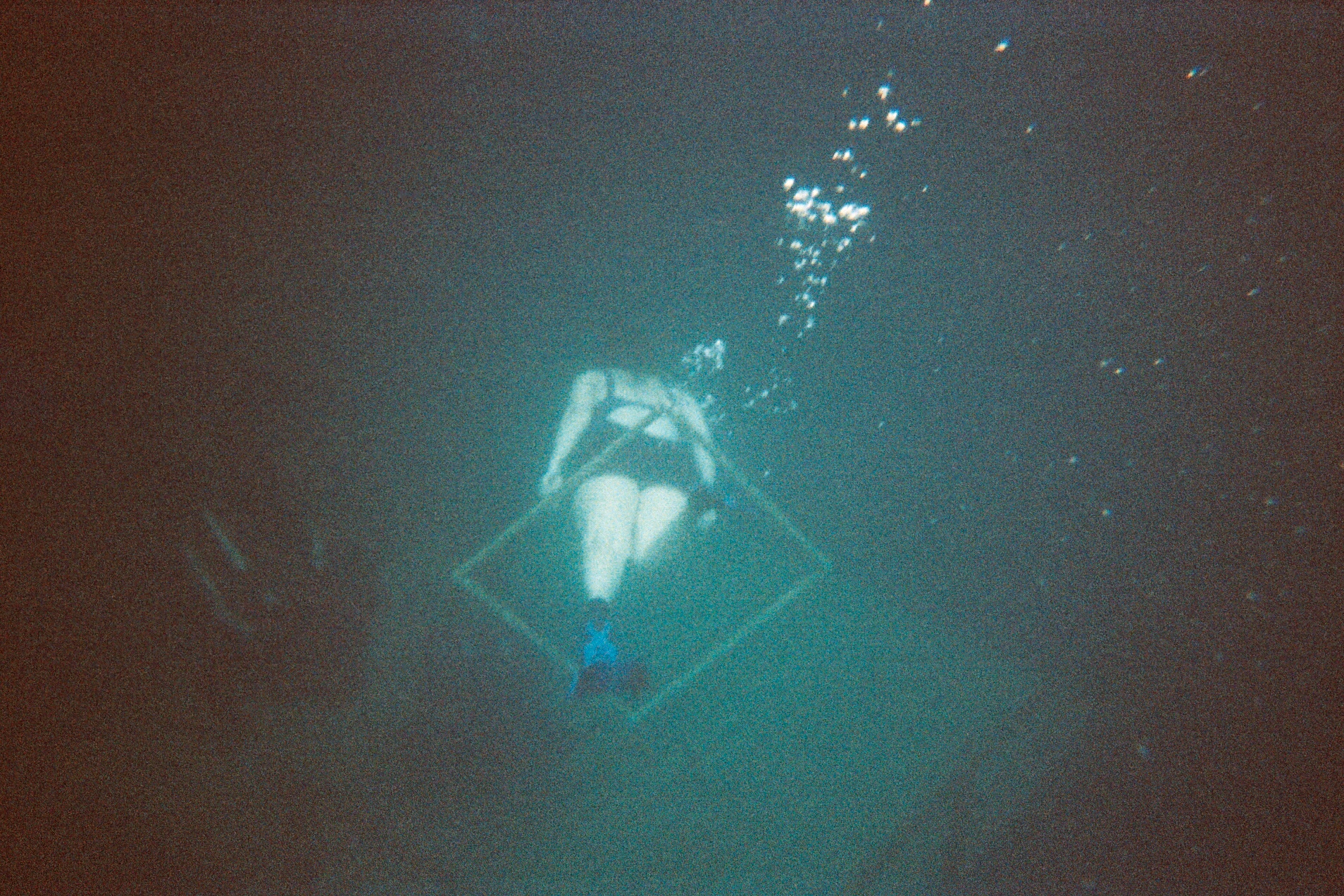 Snorkeling at Alabama Blue Water Adventures 2009