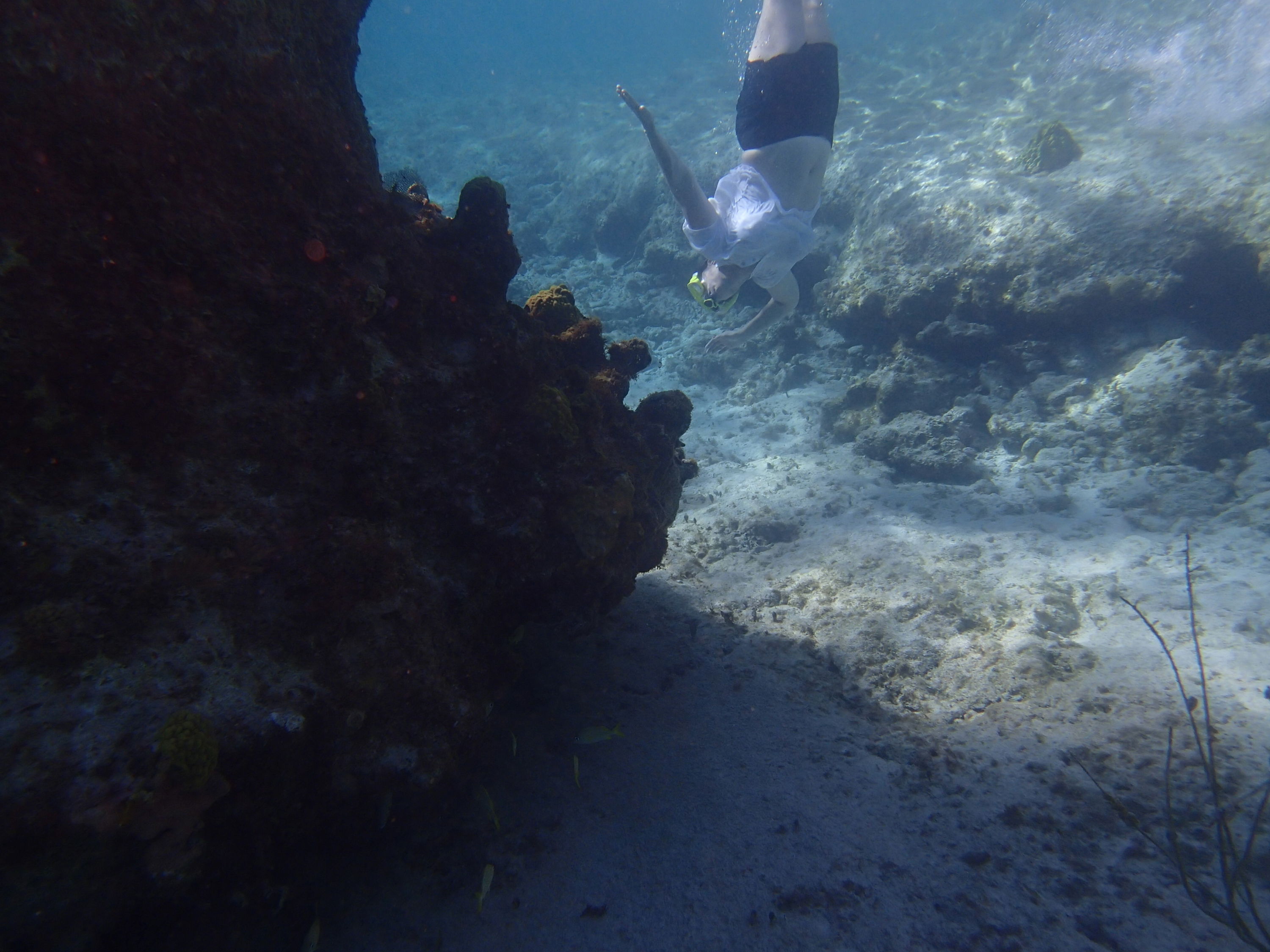 Snorkeling Devils Gate