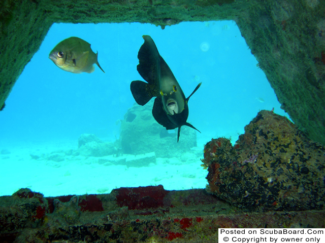 Snorkeling, Hotel Cozumel