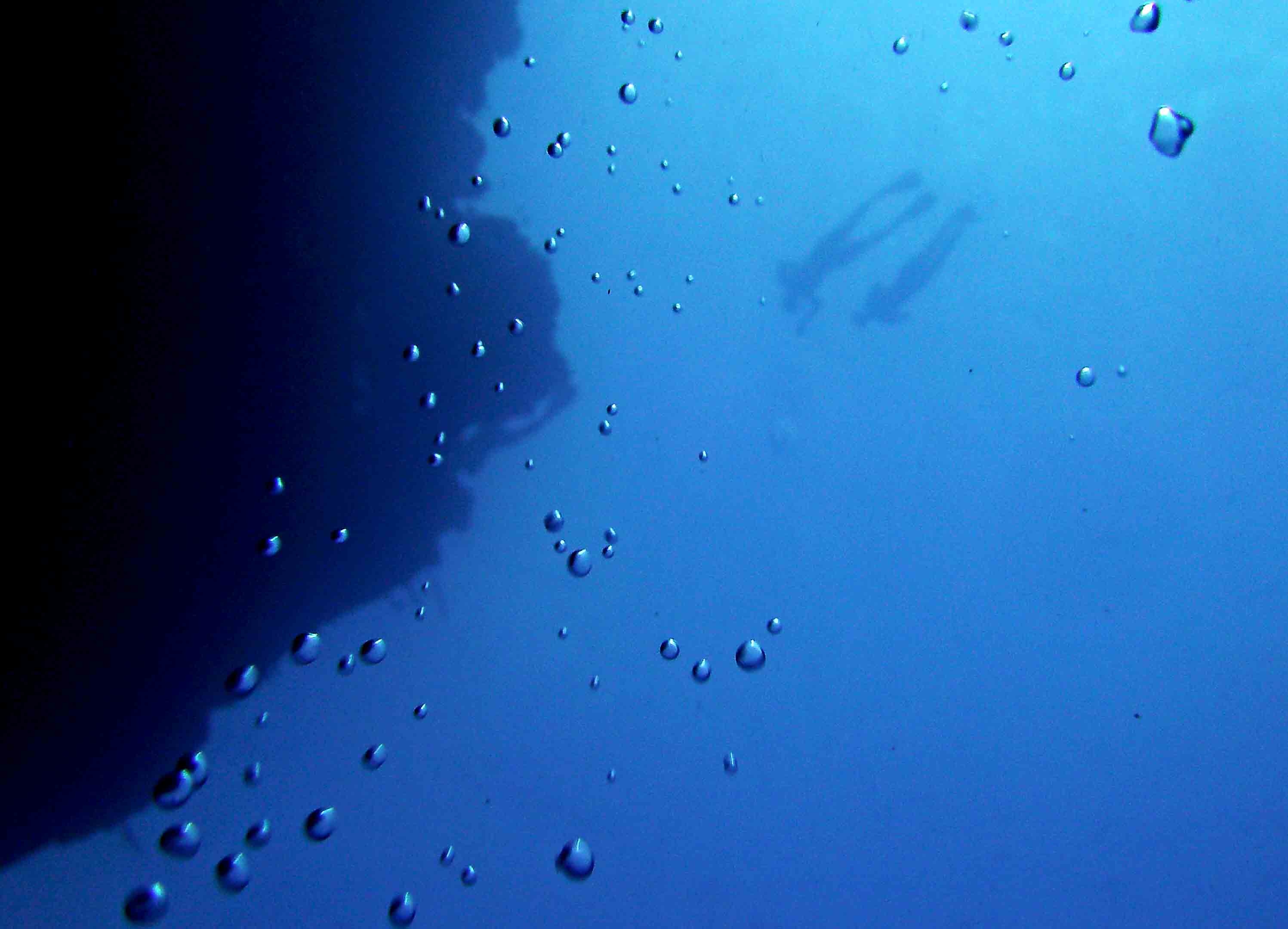 Snorkelling The Walls Of Bunaken