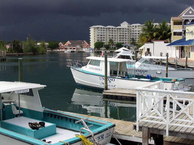 Some of UNEXSO's Fleet