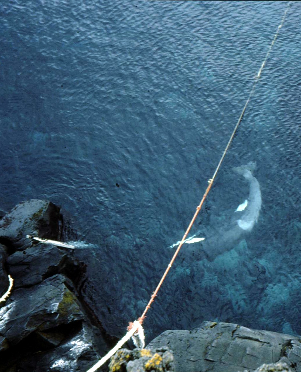 Southeren Indian Ocean - Marion Island