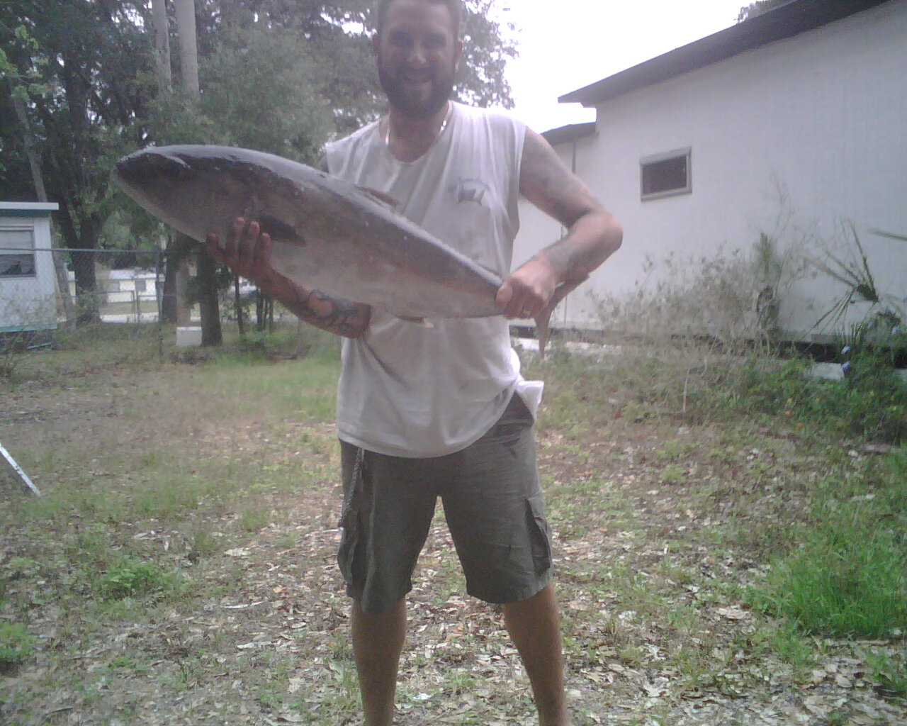 Spear an AmberJack