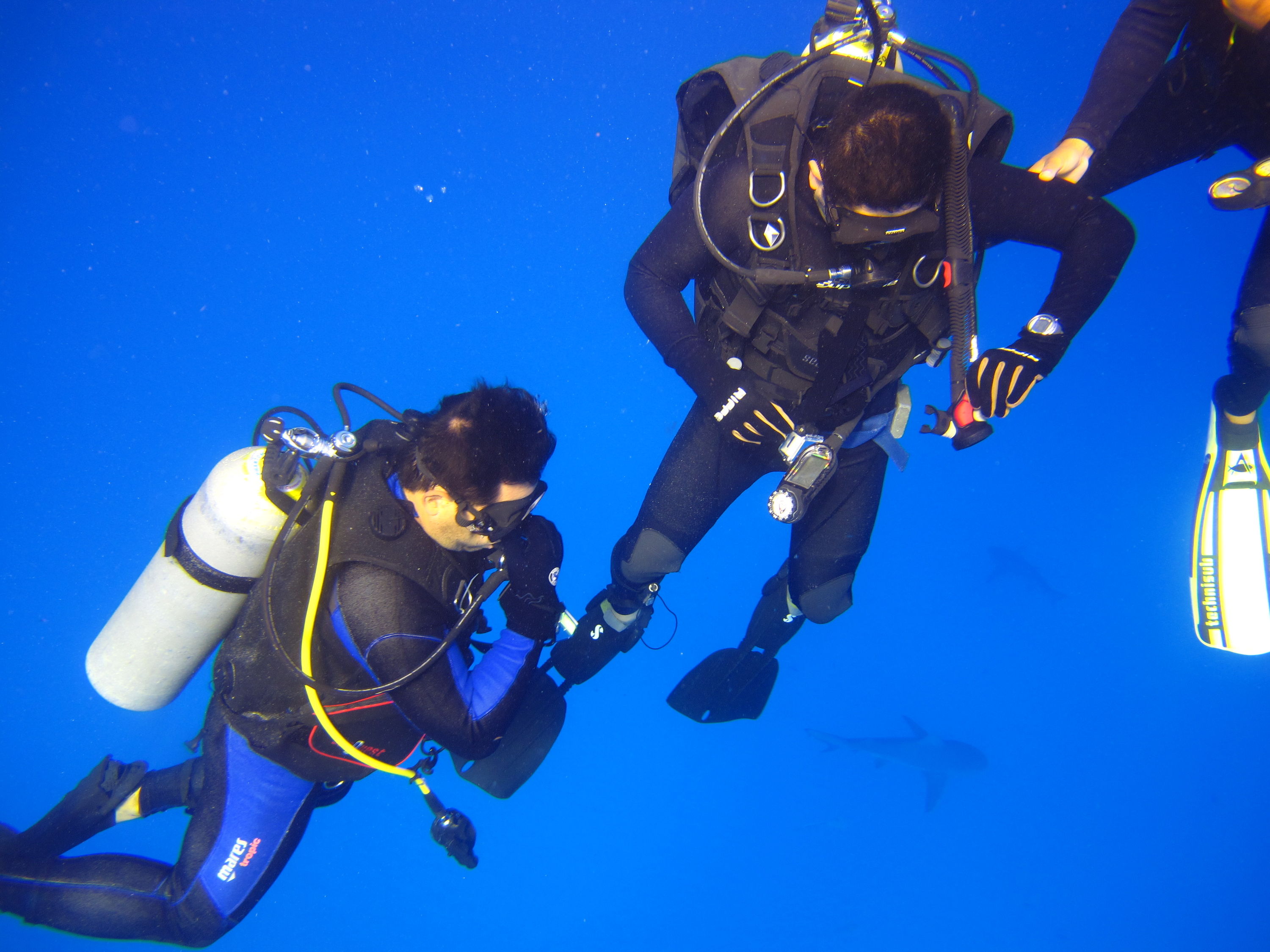 Srark Adventure at PHNTOM DIVERS