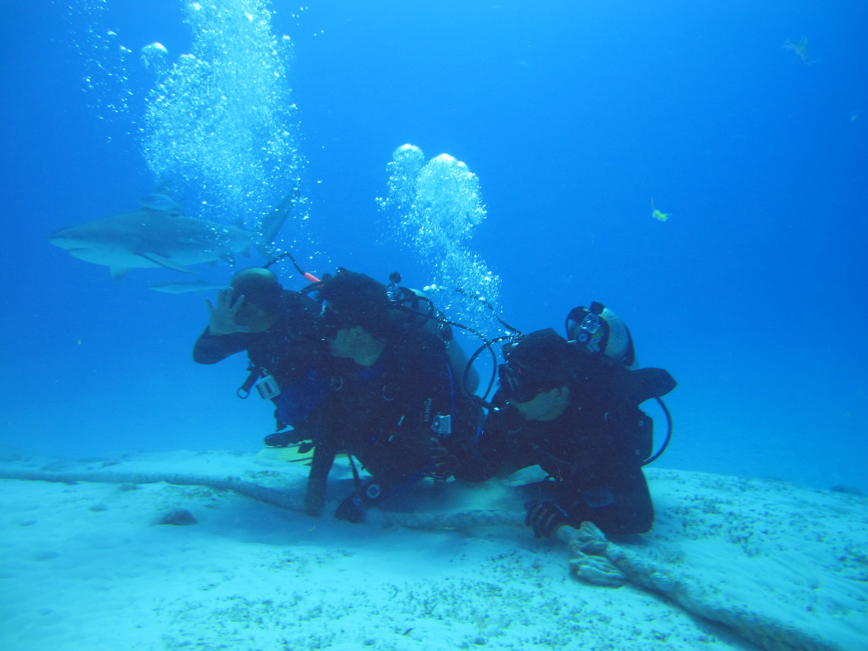 Srark Adventure at PHNTOM DIVERS