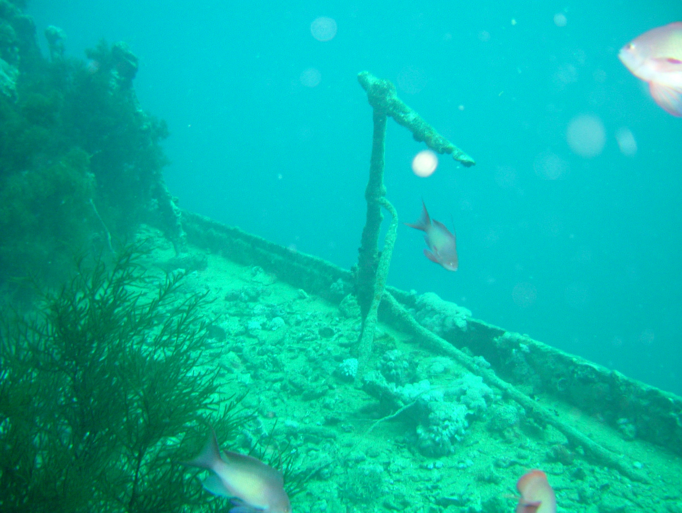 SS Thistlegorm, Red Sea