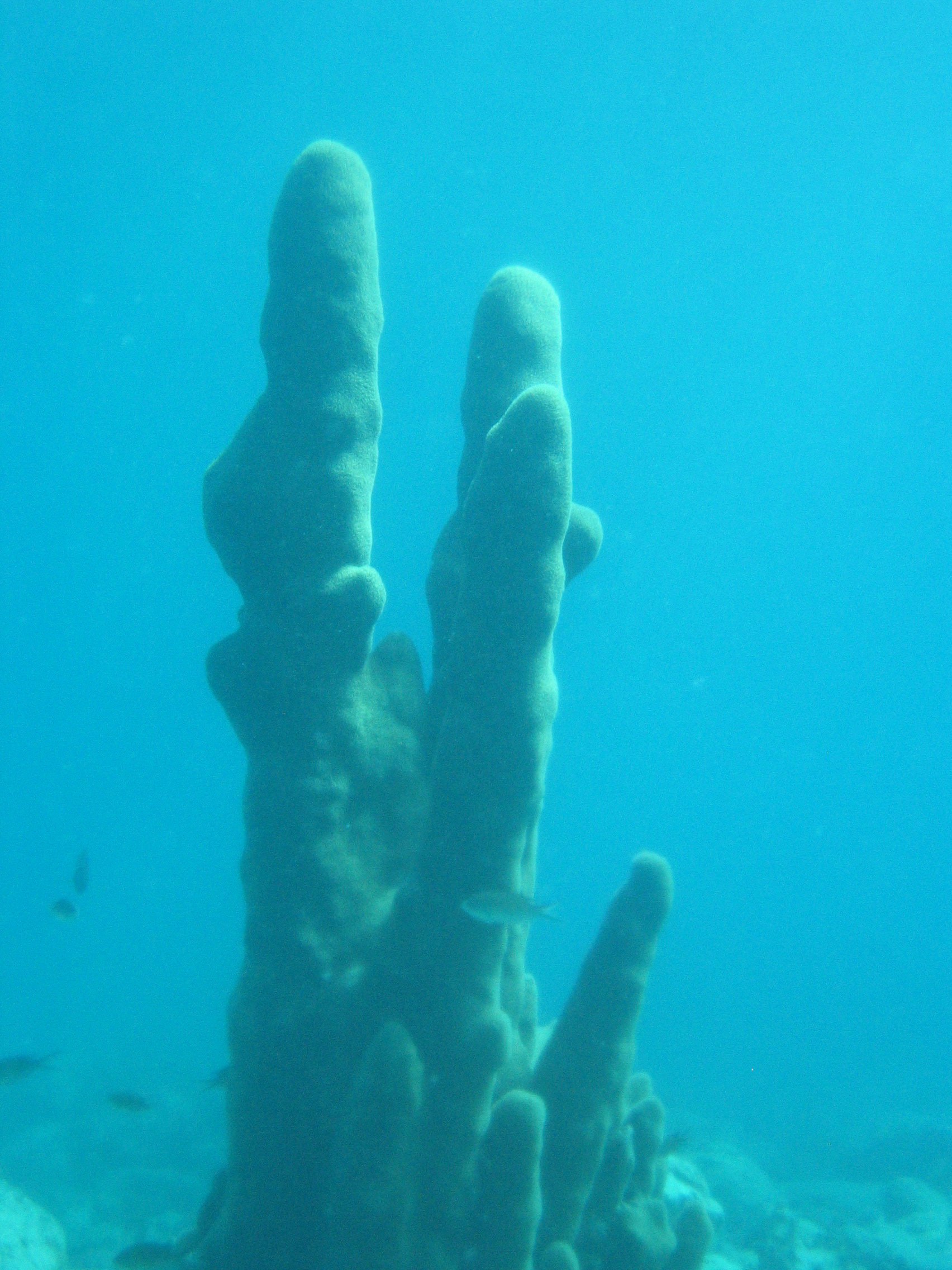 St. John, USVI