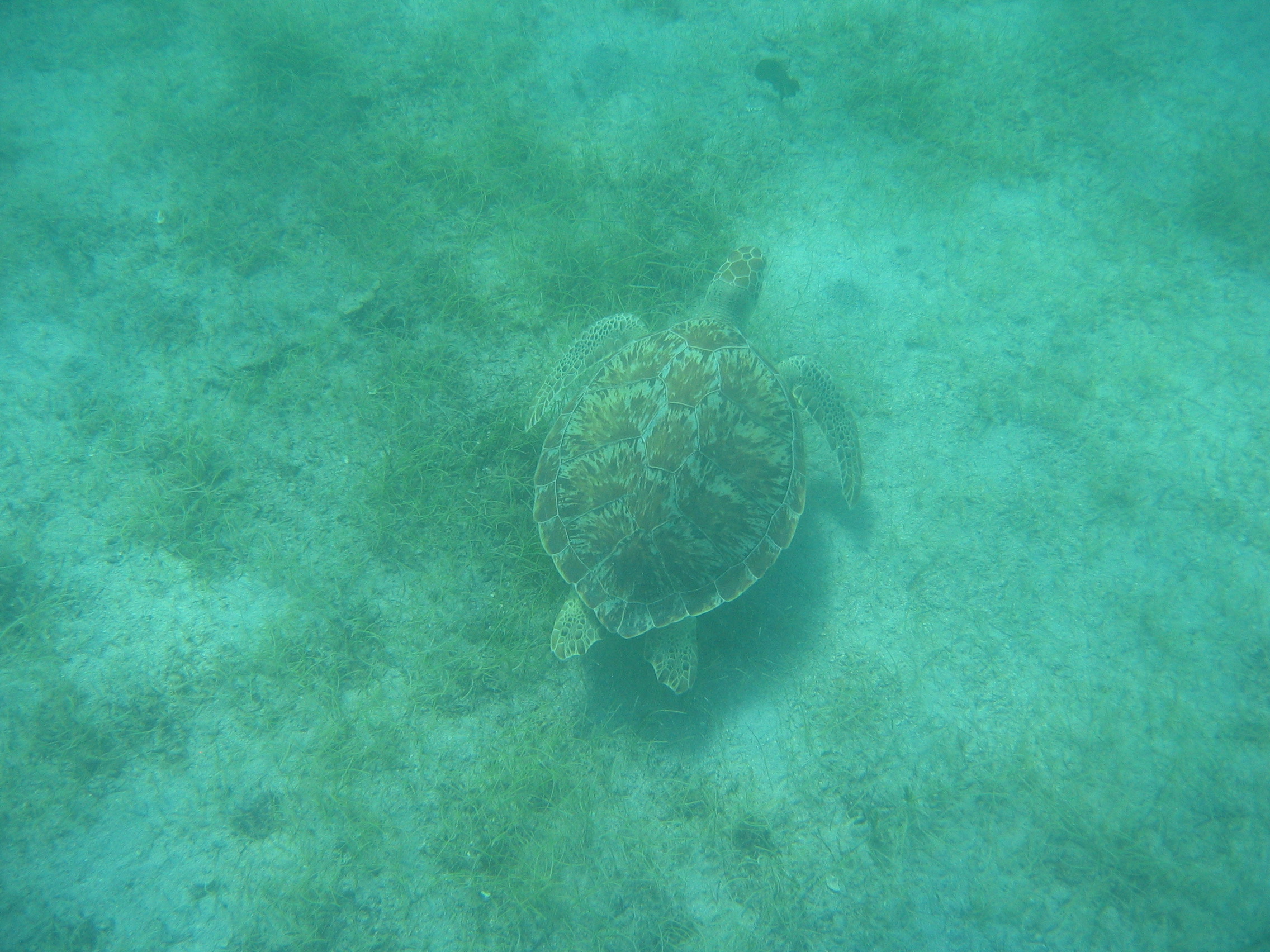 St. John, USVI