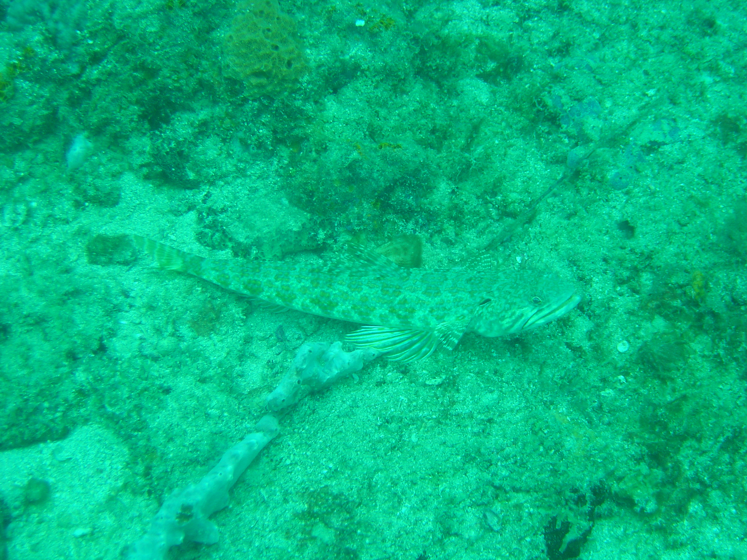 St. Lucia 14