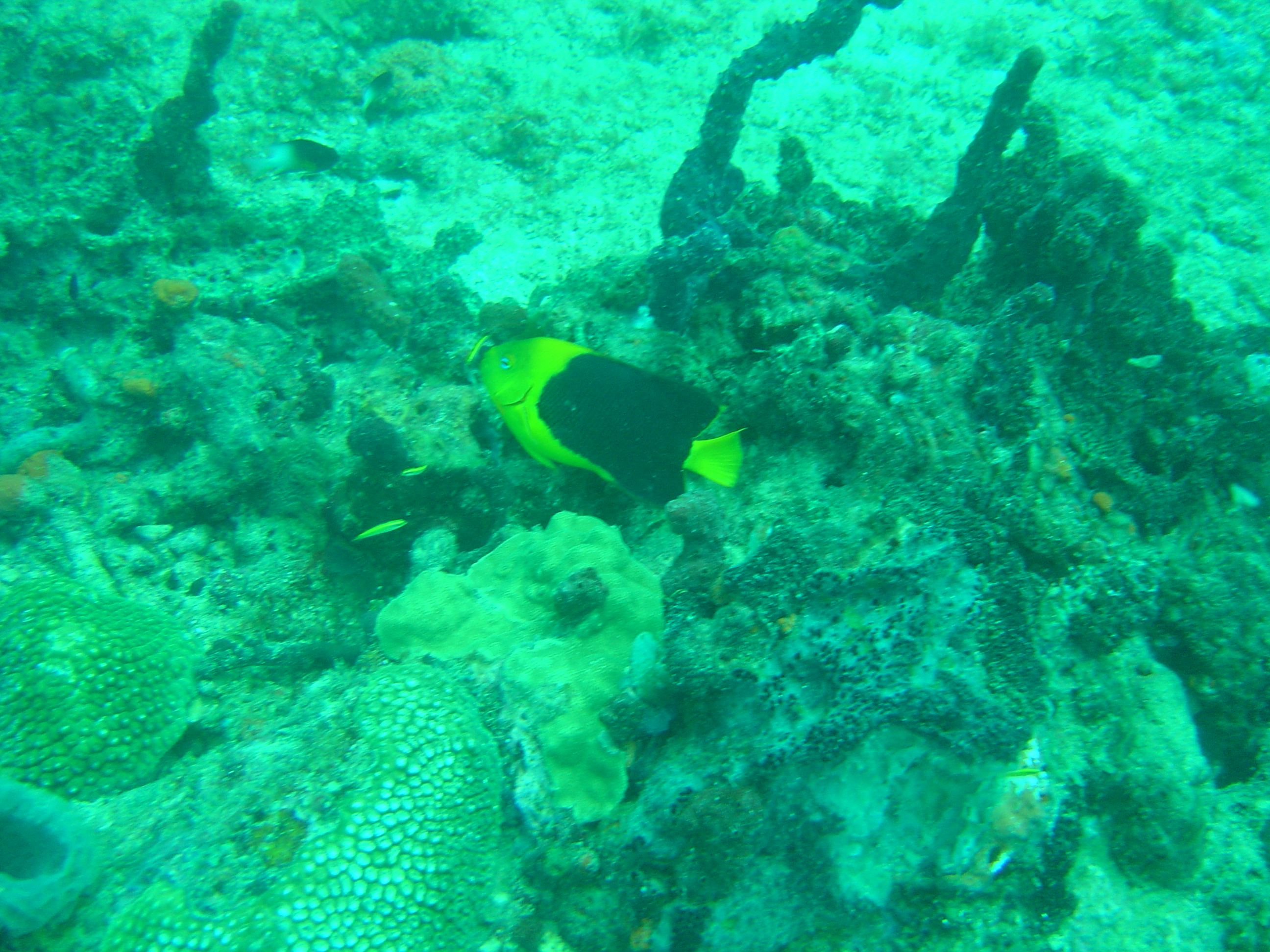 St. Lucia 15