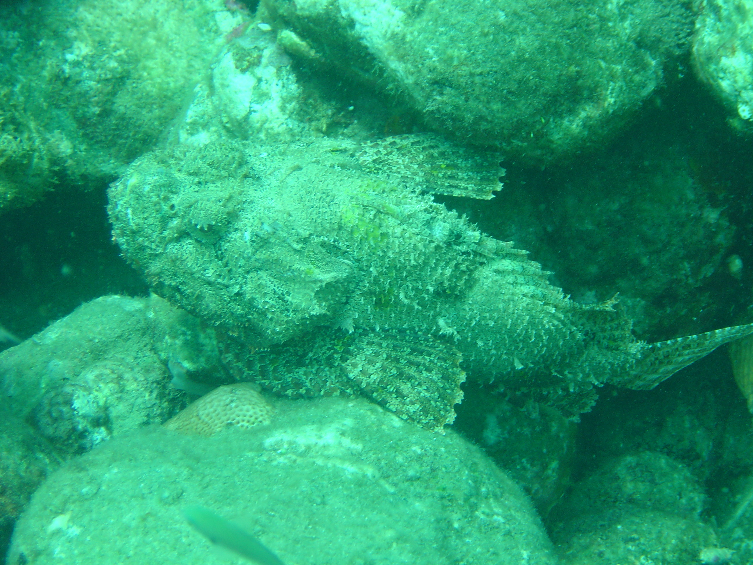 St. Lucia 23
