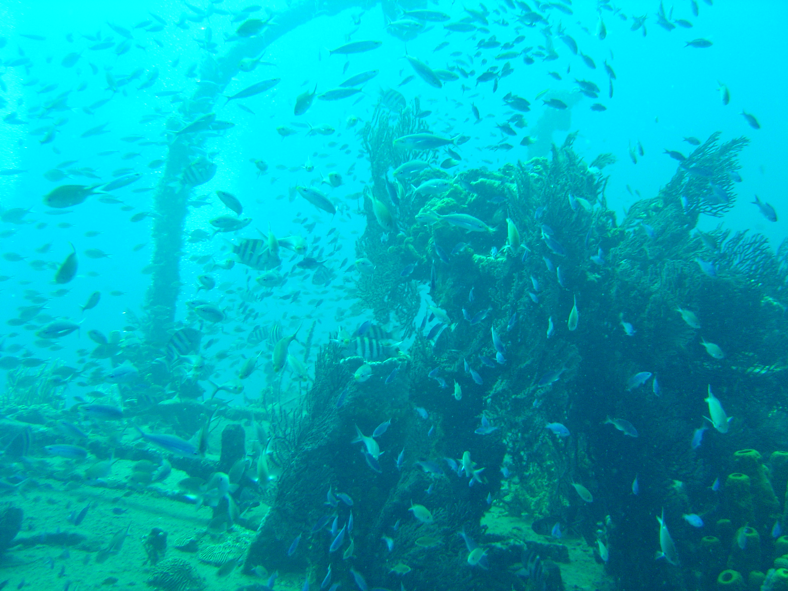 St. Lucia 26