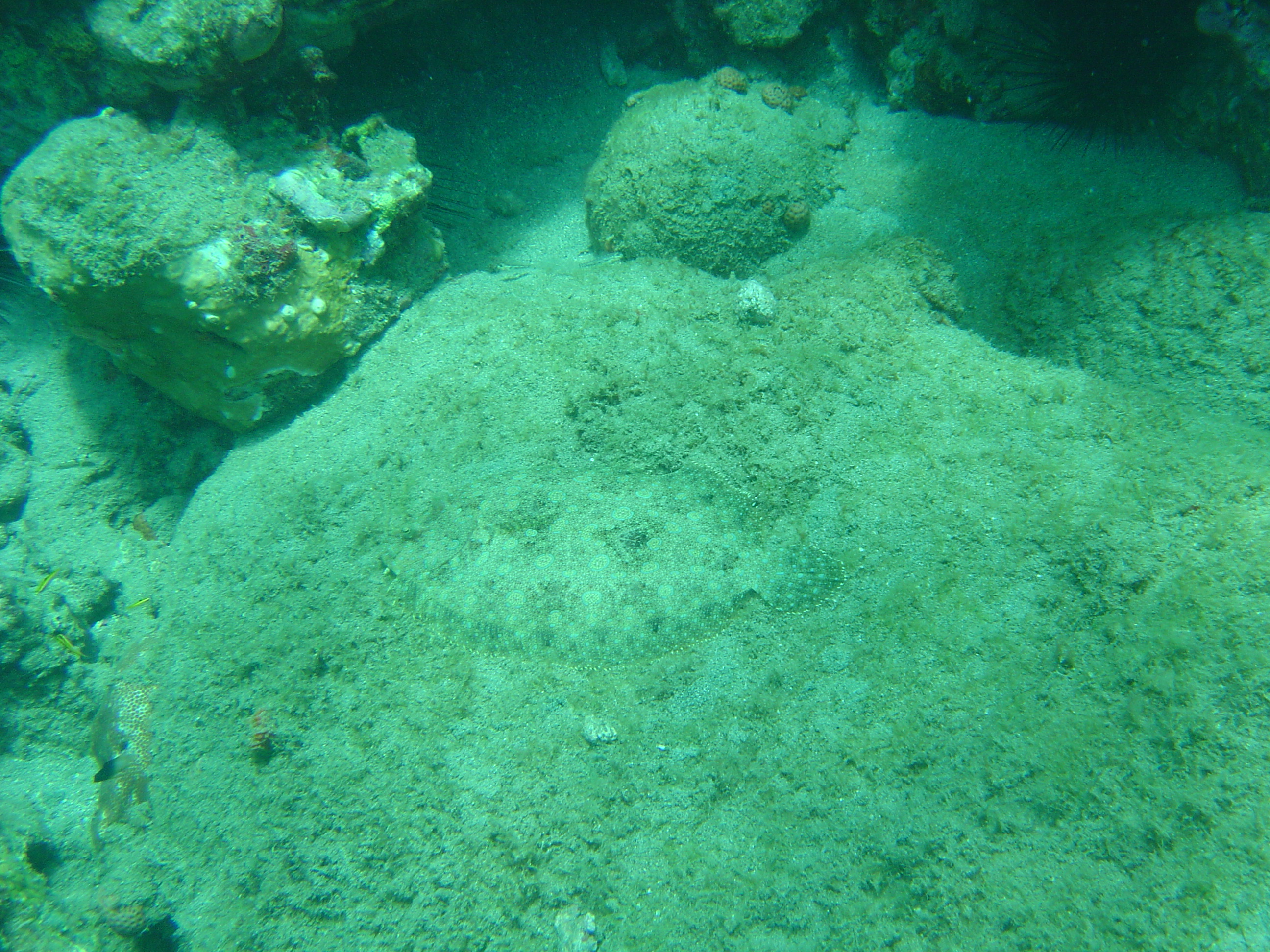 St. Lucia 6