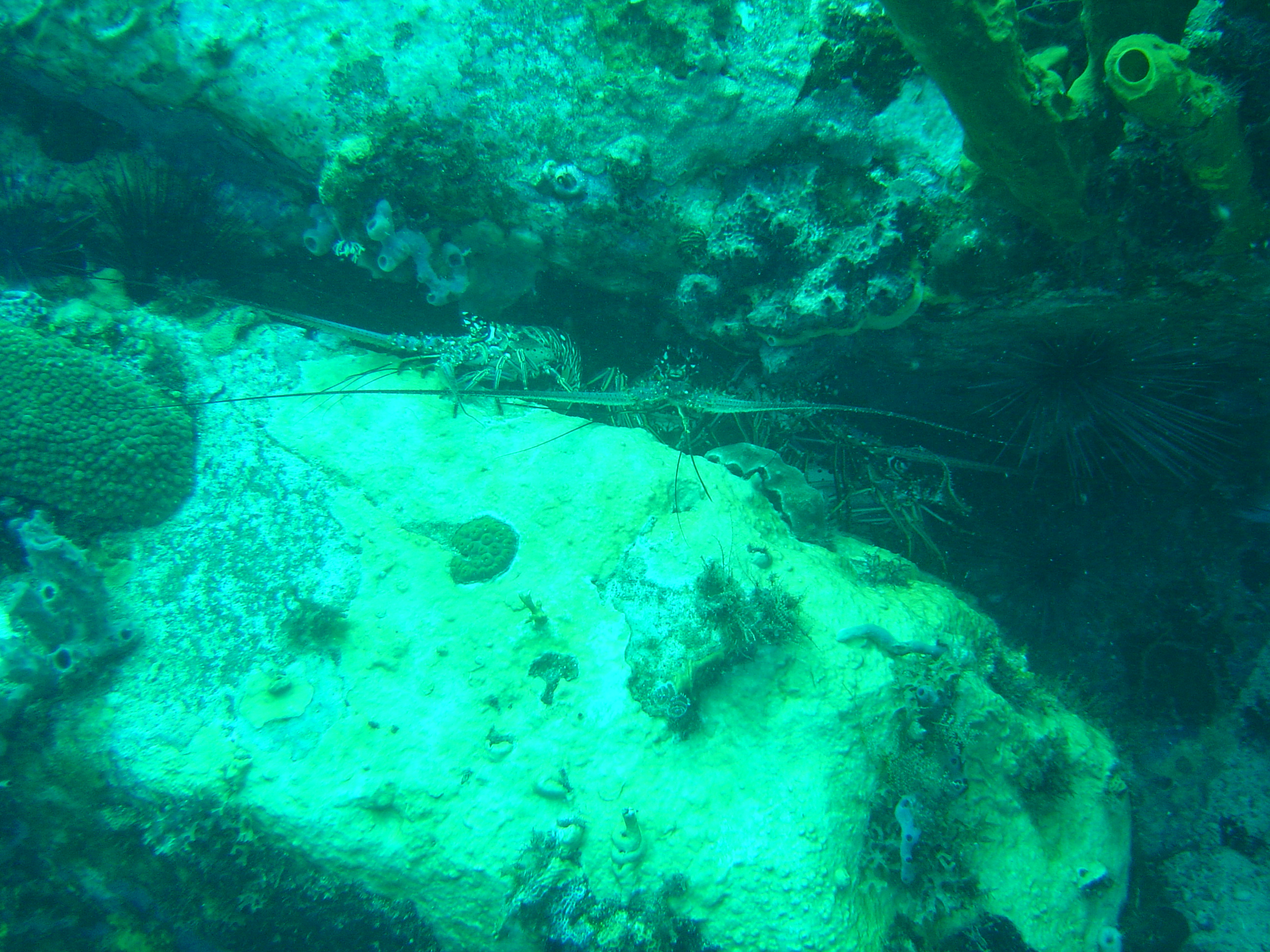 St. Lucia 9