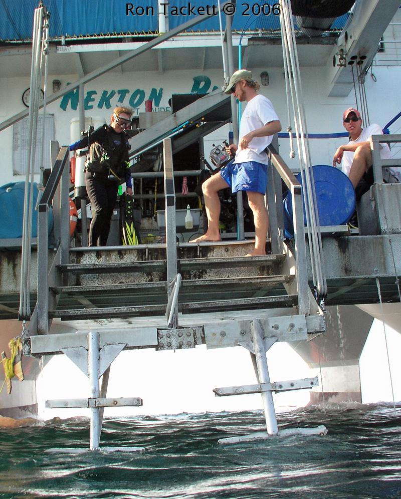 stairs on the dive deck, Nekton Pilot