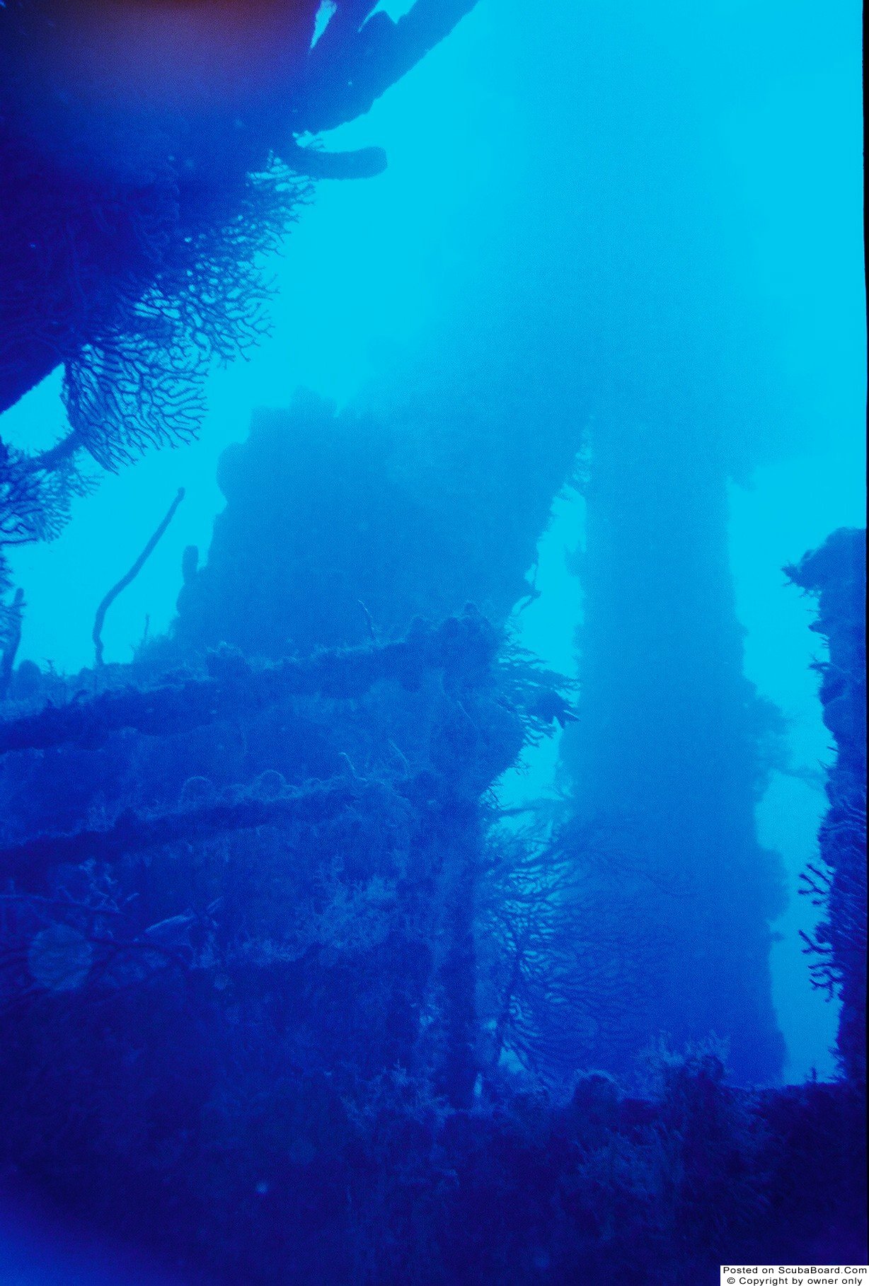 Stavronikita Wreck