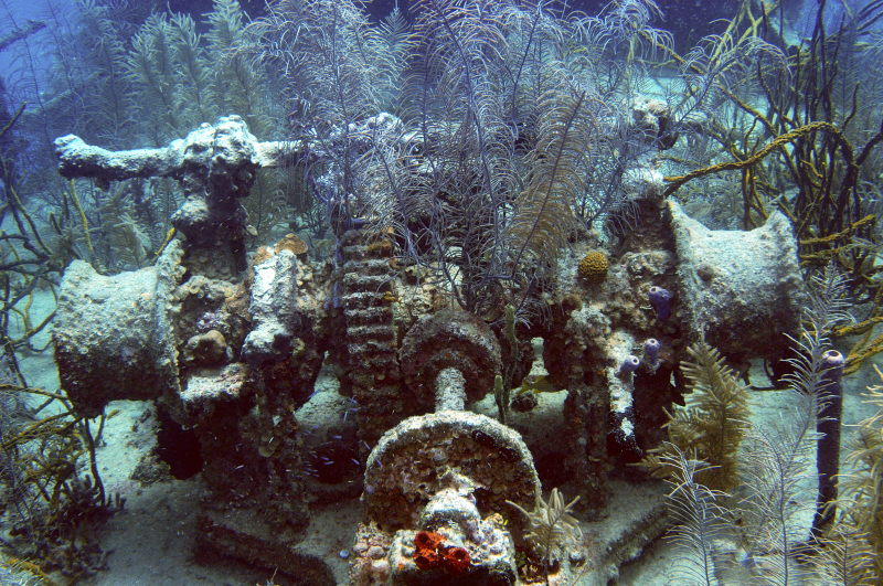 Stern of the Prince Albert