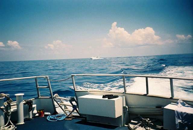 Stetson Bank Texas Flower Gradens Gulf of Mexic0 8/05