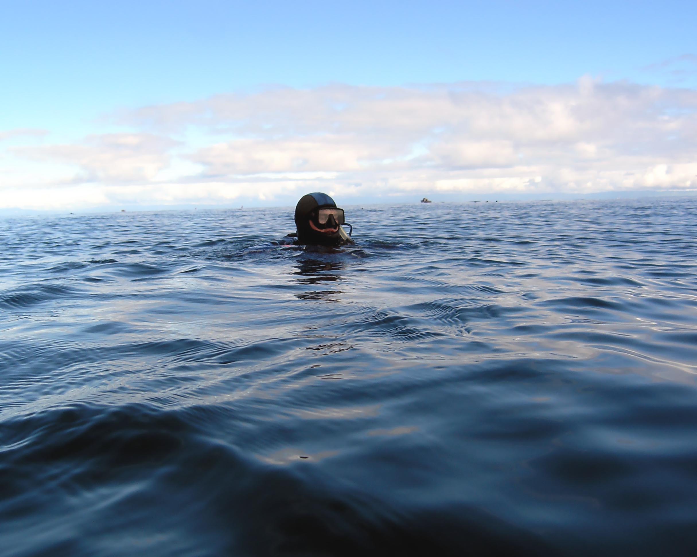 Steve - First dive of the day