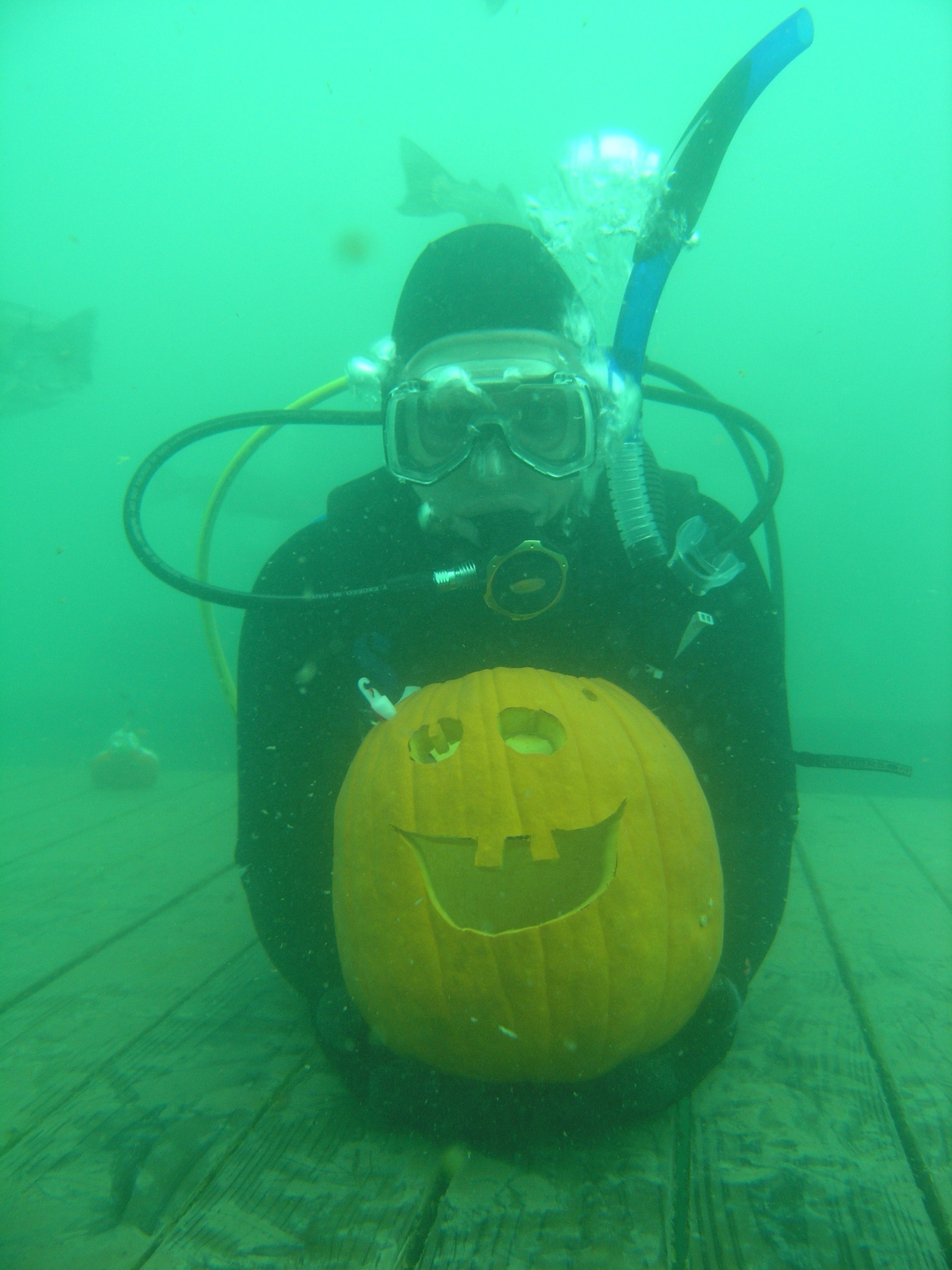 Steve_Dives with his pumpkin