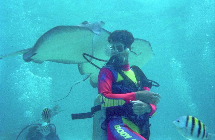 Stingray City Grand Cayman