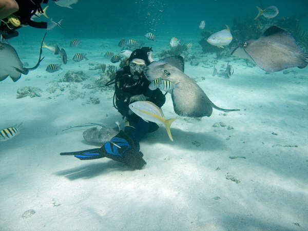 stingraykiss